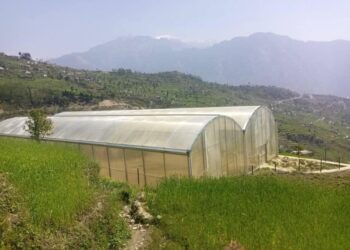 हाइटेक नर्सरीमा अनियमितता १२ जनाविरुद्ध मुद्दा